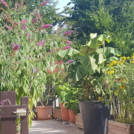 Schoene Aussicht * 니데겐