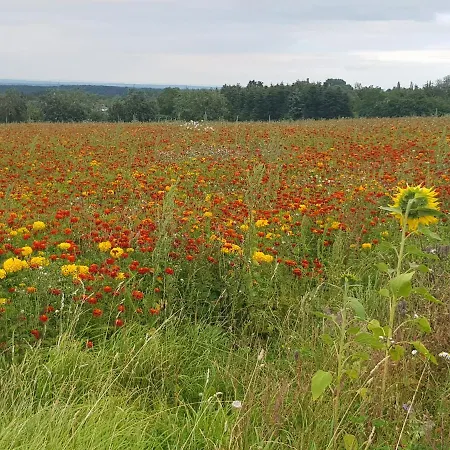 Schoene Aussicht * 니데겐