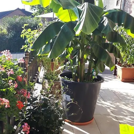 Schoene Aussicht 아파트