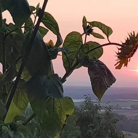 Schoene Aussicht
